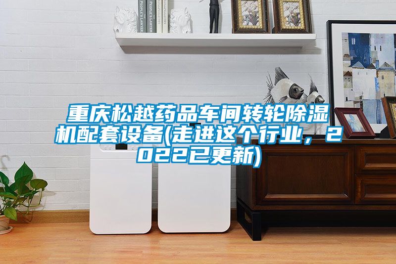 重慶松越藥品車間轉(zhuǎn)輪除濕機配套設(shè)備(走進這個行業(yè)，2022已更新)
