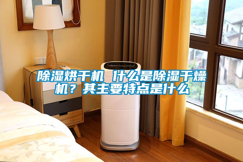 除濕烘干機 什么是除濕干燥機？其主要特點是什么