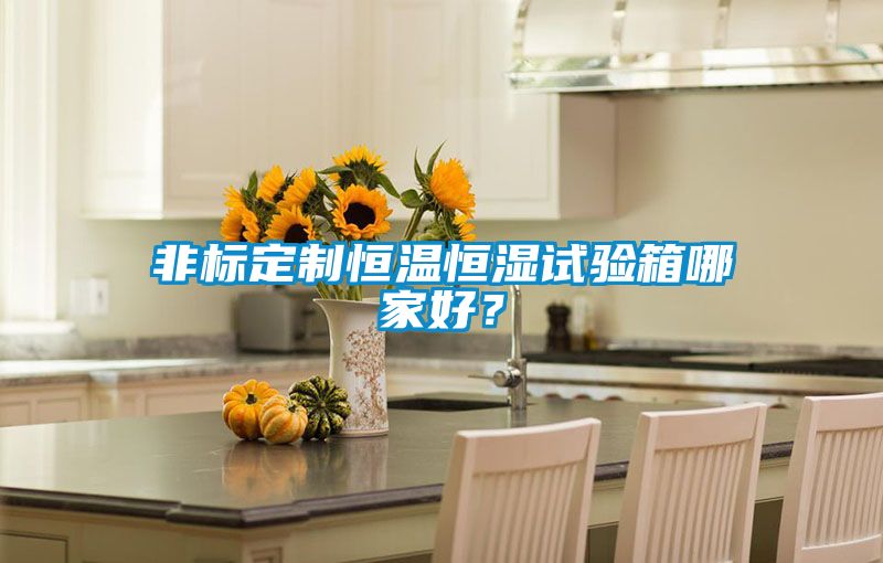 非標(biāo)定制恒溫恒濕試驗(yàn)箱哪家好？