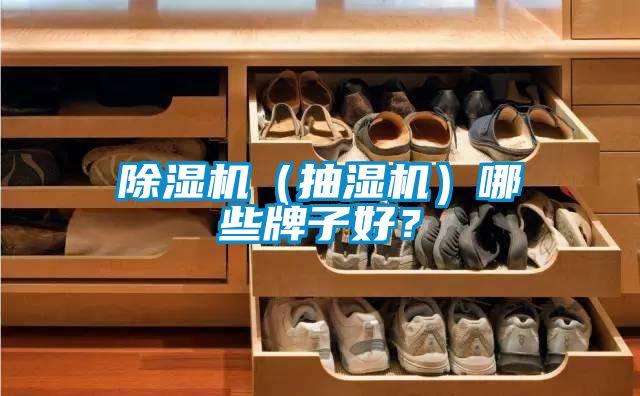 除濕機（抽濕機）哪些牌子好？