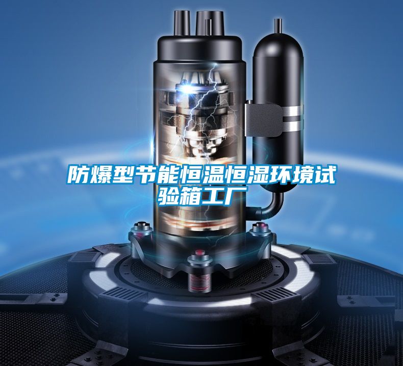 防爆型節(jié)能恒溫恒濕環(huán)境試驗箱工廠