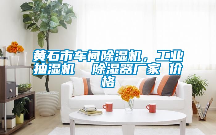 黃石市車間除濕機(jī)，工業(yè)抽濕機(jī)  除濕器廠家 價(jià)格