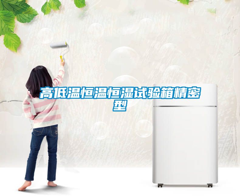 高低溫恒溫恒濕試驗(yàn)箱精密型