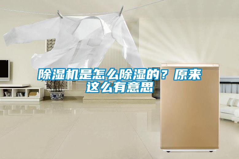 除濕機(jī)是怎么除濕的？原來這么有意思