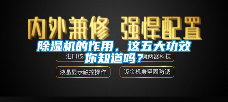 除濕機(jī)的作用，這五大功效你知道嗎？