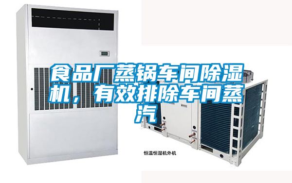 食品廠蒸鍋車(chē)間除濕機(jī)，有效排除車(chē)間蒸汽