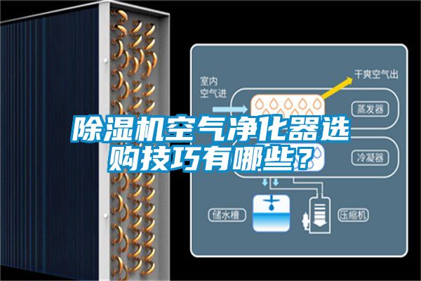 除濕機空氣凈化器選購技巧有哪些？