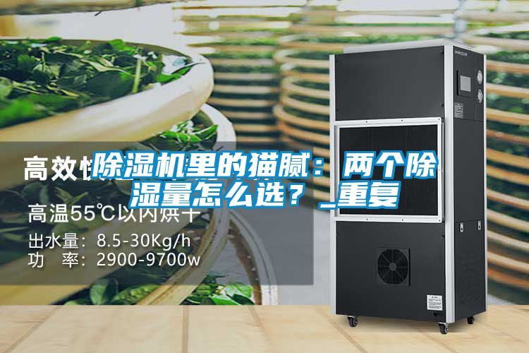 除濕機里的貓膩：兩個除濕量怎么選？_重復(fù)