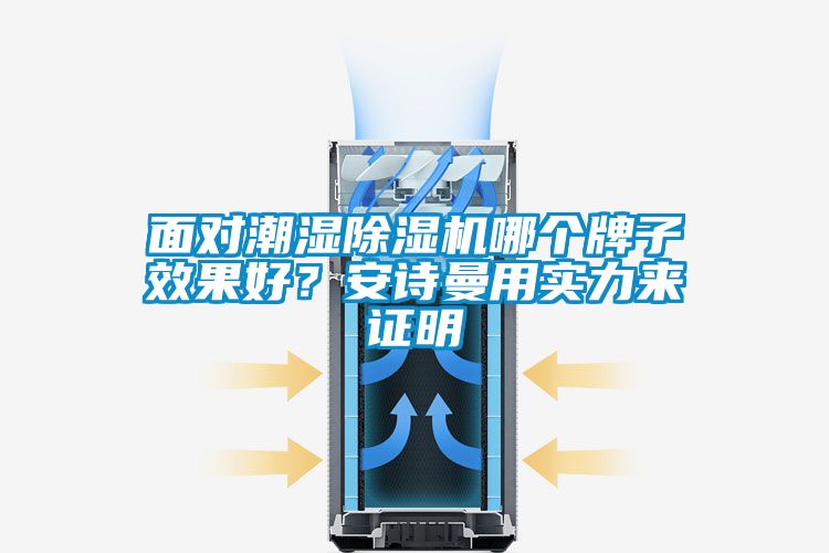 面對潮濕除濕機(jī)哪個牌子效果好？安詩曼用實(shí)力來證明