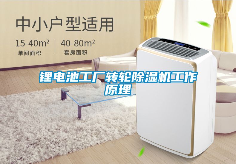 鋰電池工廠轉(zhuǎn)輪除濕機(jī)工作原理