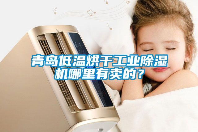 青島低溫烘干工業(yè)除濕機(jī)哪里有賣的？