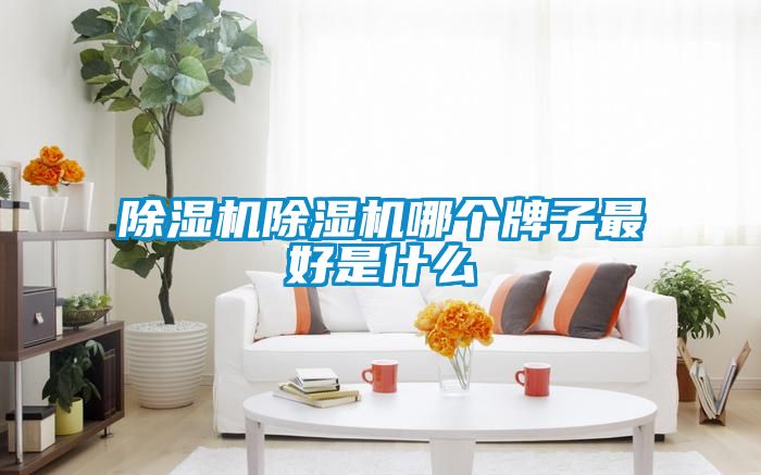 除濕機(jī)除濕機(jī)哪個(gè)牌子最好是什么