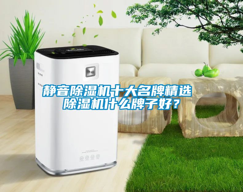 靜音除濕機(jī)十大名牌精選 除濕機(jī)什么牌子好？