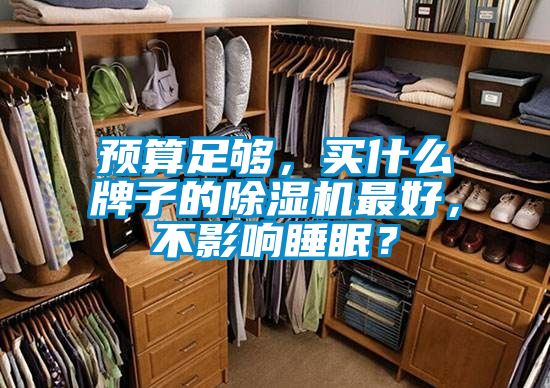 預(yù)算足夠，買什么牌子的除濕機(jī)最好，不影響睡眠？
