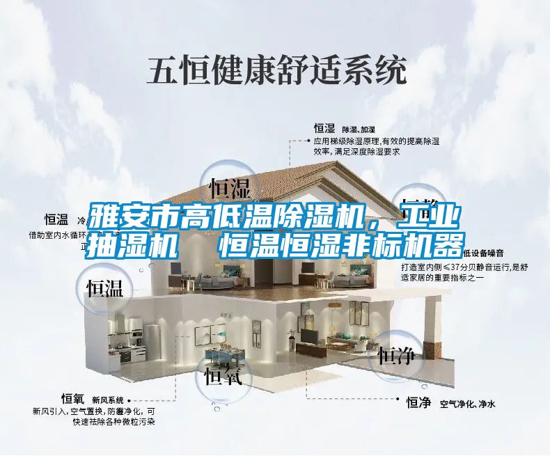 雅安市高低溫除濕機，工業(yè)抽濕機  恒溫恒濕非標機器