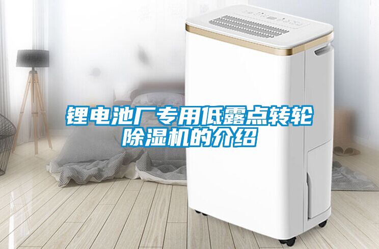 鋰電池廠專用低露點(diǎn)轉(zhuǎn)輪除濕機(jī)的介紹
