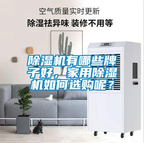 除濕機有哪些牌子好，家用除濕機如何選購呢？