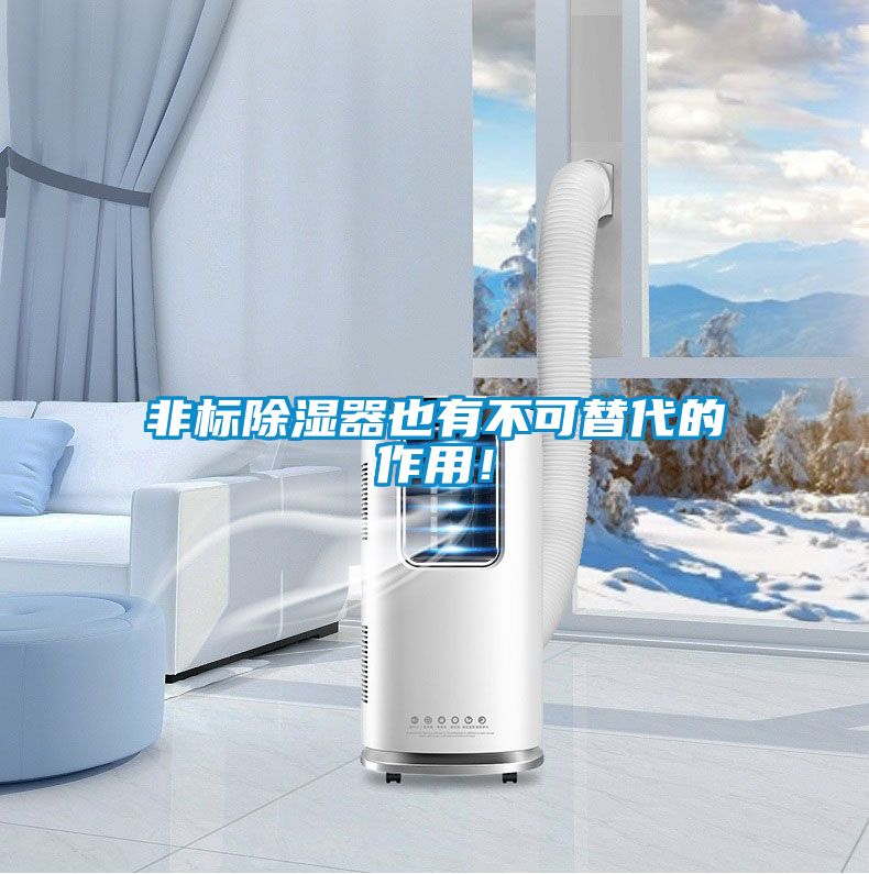 非標(biāo)除濕器也有不可替代的作用！