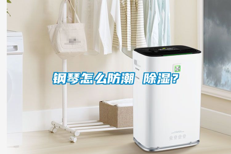 鋼琴怎么防潮 除濕？