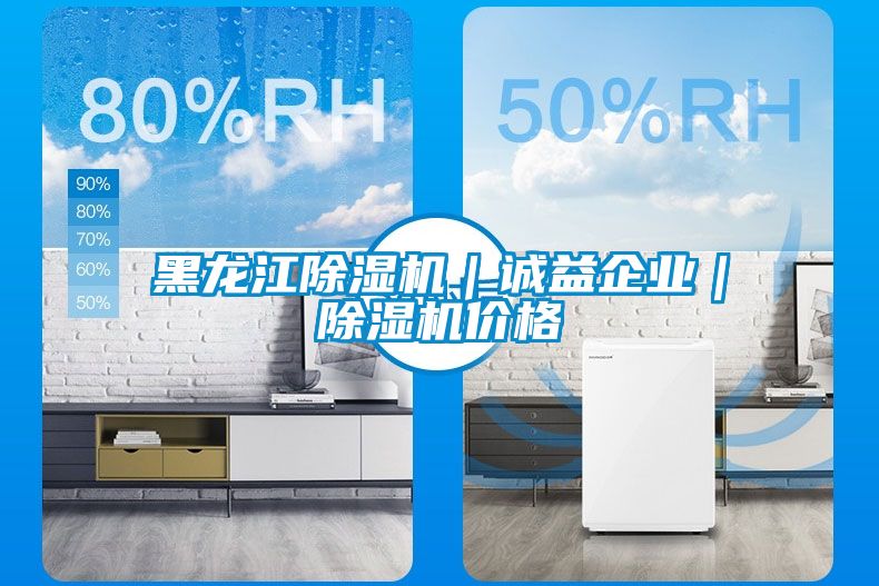 黑龍江除濕機(jī)｜誠(chéng)益企業(yè)｜除濕機(jī)價(jià)格
