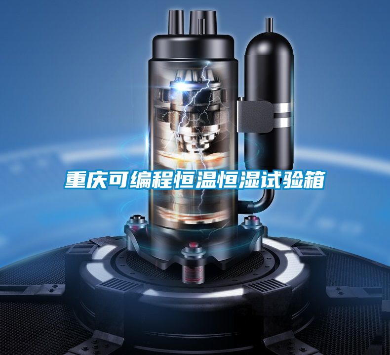 重慶可編程恒溫恒濕試驗(yàn)箱