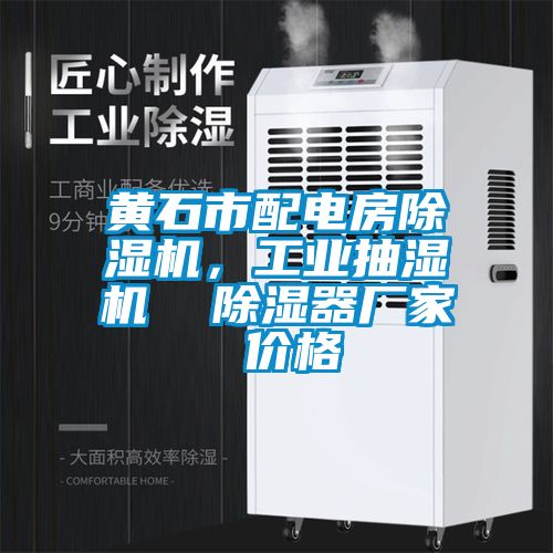 黃石市配電房除濕機(jī)，工業(yè)抽濕機(jī)  除濕器廠家 價(jià)格