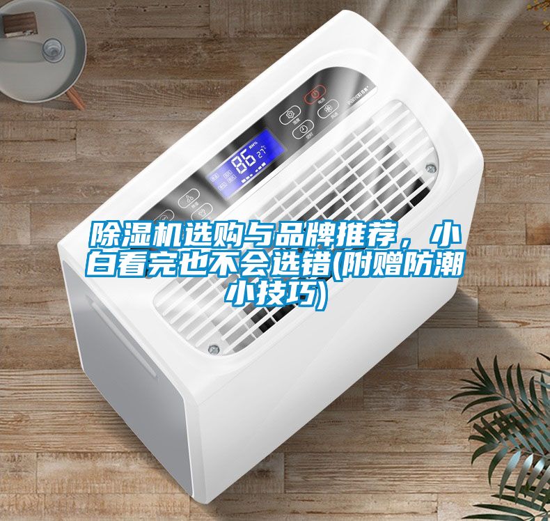 除濕機選購與品牌推薦，小白看完也不會選錯(附贈防潮小技巧)