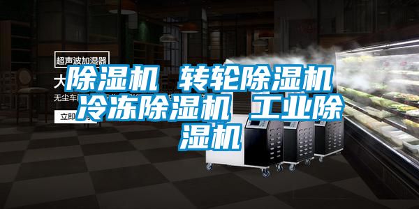 除濕機 轉(zhuǎn)輪除濕機 冷凍除濕機 工業(yè)除濕機