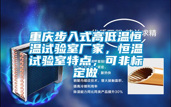 重慶步入式高低溫恒溫試驗室廠家，恒溫試驗室特點，可非標(biāo)定做