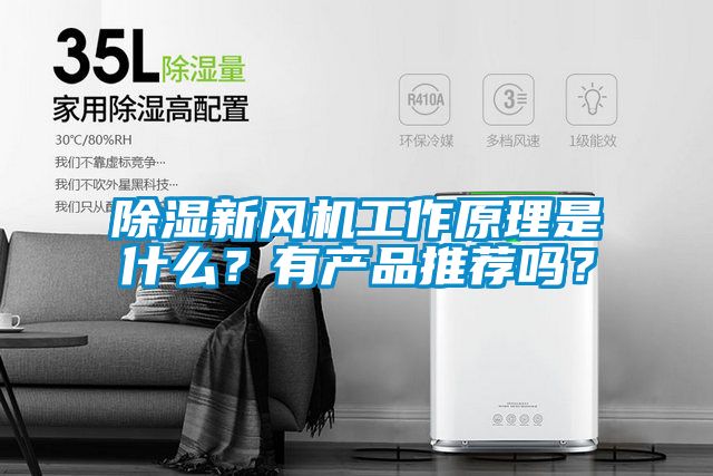 除濕新風(fēng)機工作原理是什么？有產(chǎn)品推薦嗎？