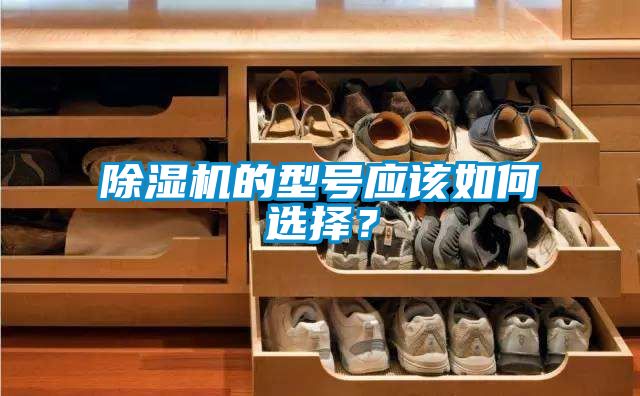 除濕機(jī)的型號(hào)應(yīng)該如何選擇？