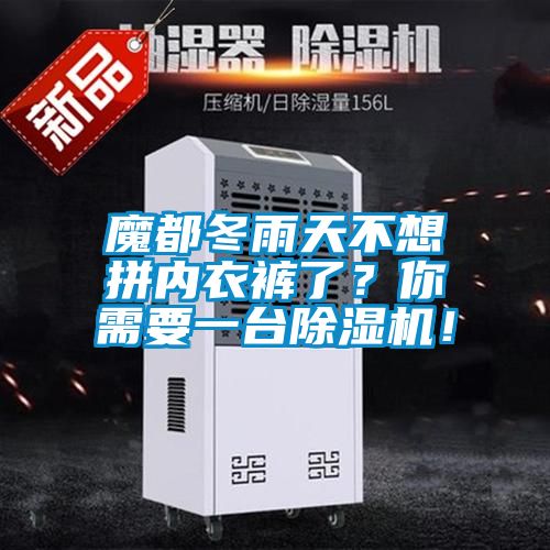 魔都冬雨天不想拼內(nèi)衣褲了？你需要一臺(tái)除濕機(jī)！