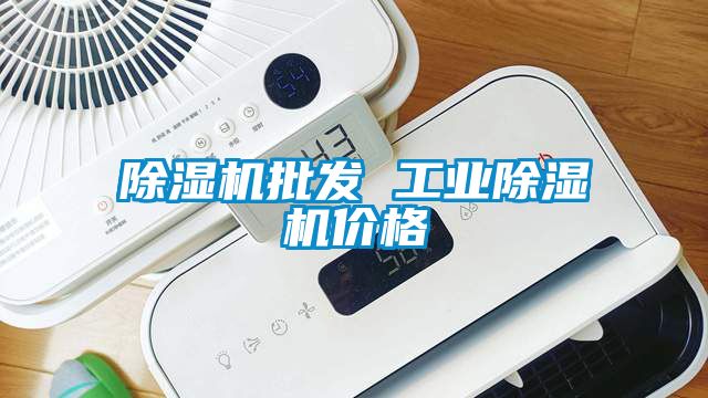 除濕機批發(fā) 工業(yè)除濕機價格