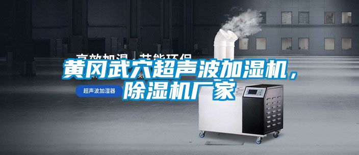 黃岡武穴超聲波加濕機(jī)，除濕機(jī)廠家