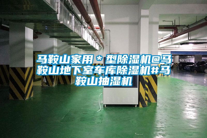 馬鞍山家用＊型除濕機(jī)@馬鞍山地下室車(chē)庫(kù)除濕機(jī)#馬鞍山抽濕機(jī)