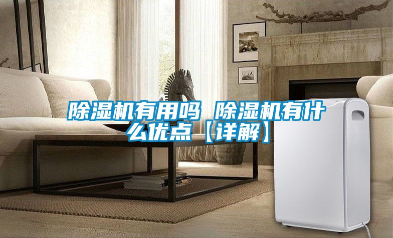 除濕機(jī)有用嗎 除濕機(jī)有什么優(yōu)點(diǎn)【詳解】