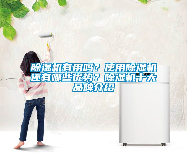 除濕機有用嗎？使用除濕機還有哪些優(yōu)勢？除濕機十大品牌介紹