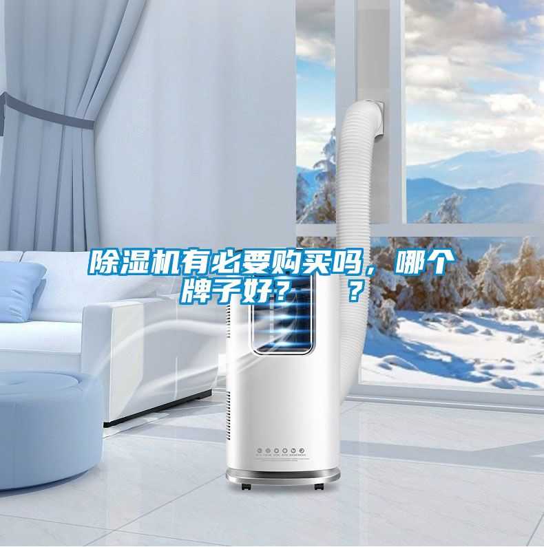 除濕機(jī)有必要購買嗎，哪個(gè)牌子好？  ？