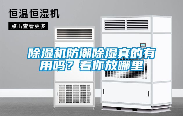 除濕機(jī)防潮除濕真的有用嗎？看你放哪里