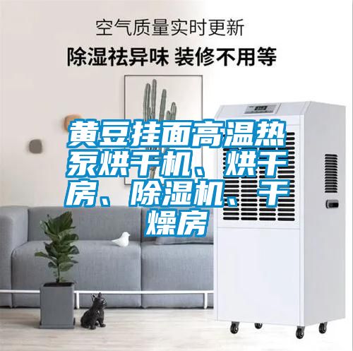 黃豆掛面高溫?zé)岜煤娓蓹C(jī)、烘干房、除濕機(jī)、干燥房