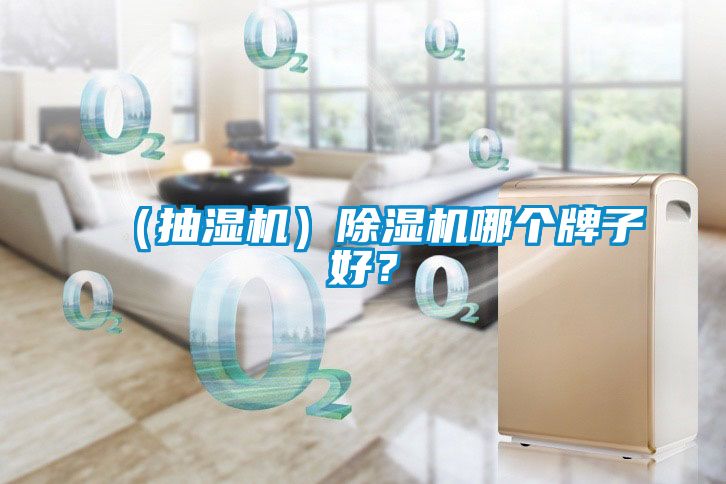 （抽濕機(jī)）除濕機(jī)哪個牌子好？