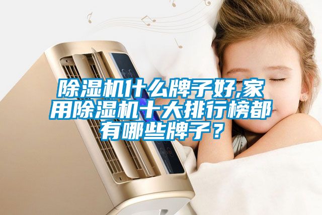 除濕機(jī)什么牌子好,家用除濕機(jī)十大排行榜都有哪些牌子？