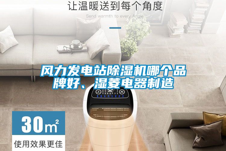 風(fēng)力發(fā)電站除濕機(jī)哪個(gè)品牌好、濕菱電器制造