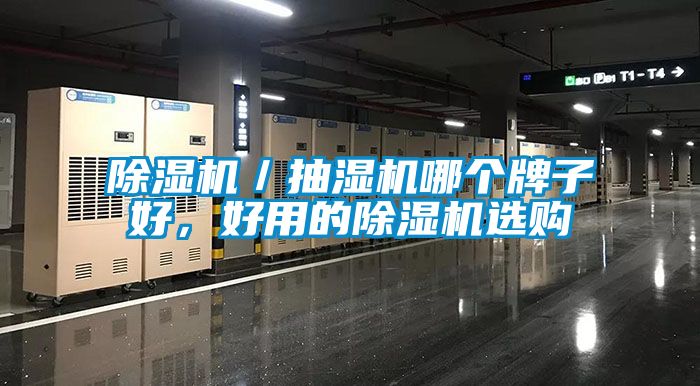 除濕機(jī)／抽濕機(jī)哪個(gè)牌子好，好用的除濕機(jī)選購