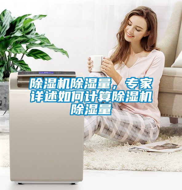 除濕機除濕量，專家詳述如何計算除濕機除濕量