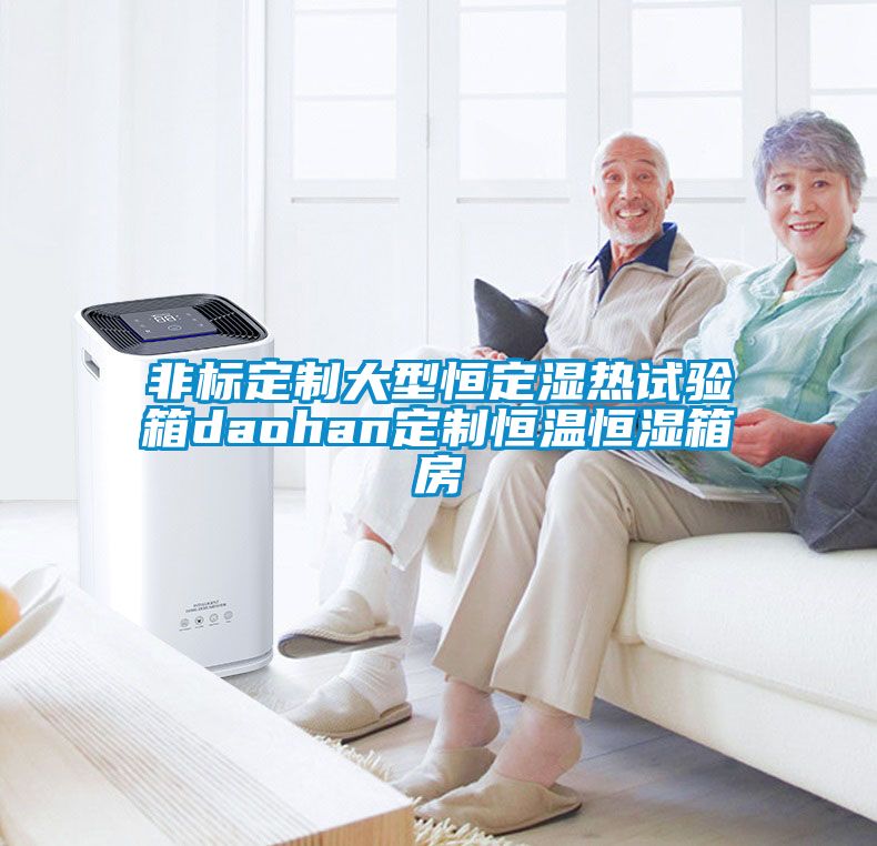 非標(biāo)定制大型恒定濕熱試驗箱daohan定制恒溫恒濕箱房