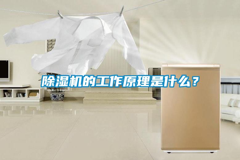 除濕機的工作原理是什么？