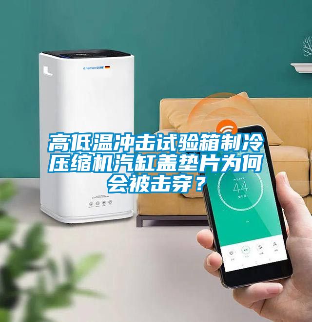 高低溫沖擊試驗(yàn)箱制冷壓縮機(jī)汽缸蓋墊片為何會(huì)被擊穿？