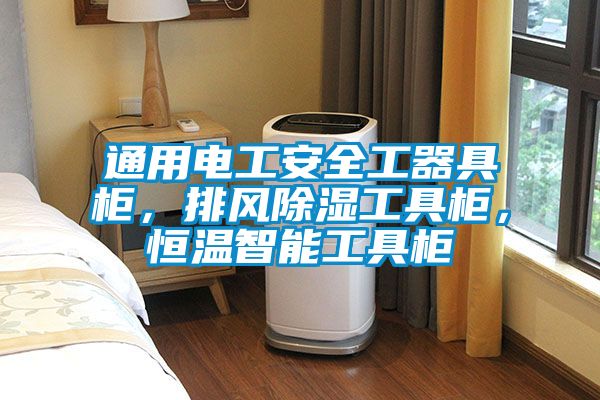 通用電工安全工器具柜，排風(fēng)除濕工具柜，恒溫智能工具柜