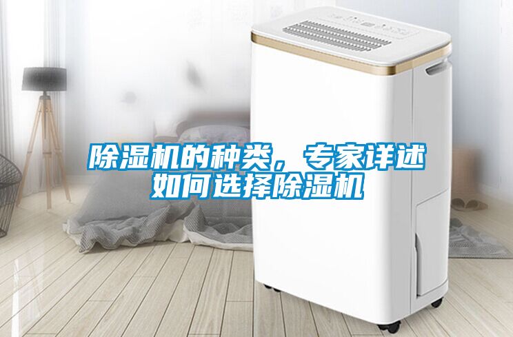 除濕機的種類，專家詳述如何選擇除濕機